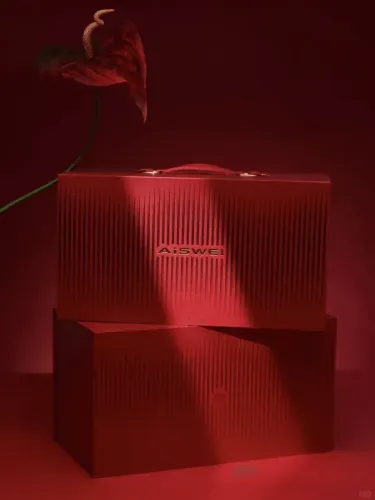 爱士惟｜2025新年礼品案例